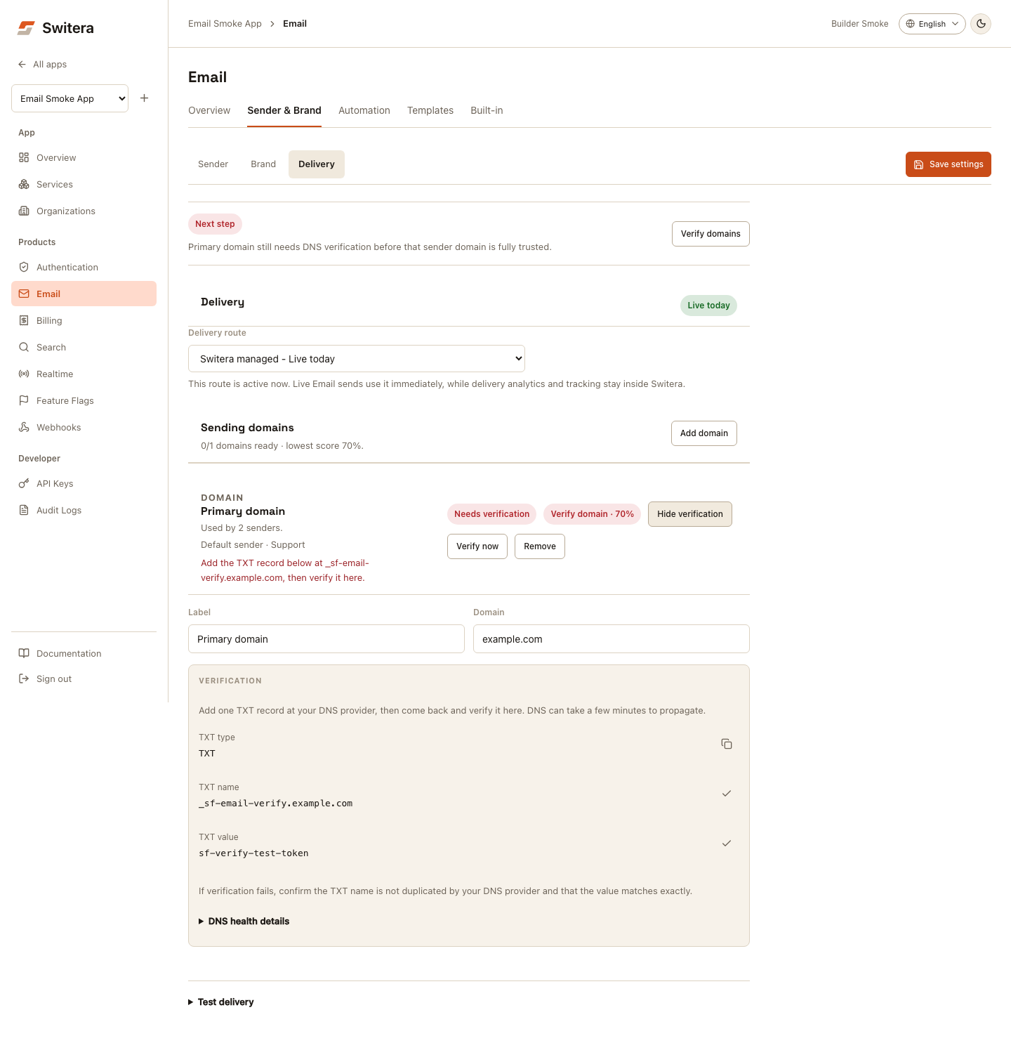 Switera Delivery view with route selector and domain ownership TXT fields with copy actions